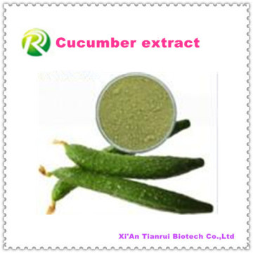 High Quality Natural Plant Extract Natural Cucumber Powder